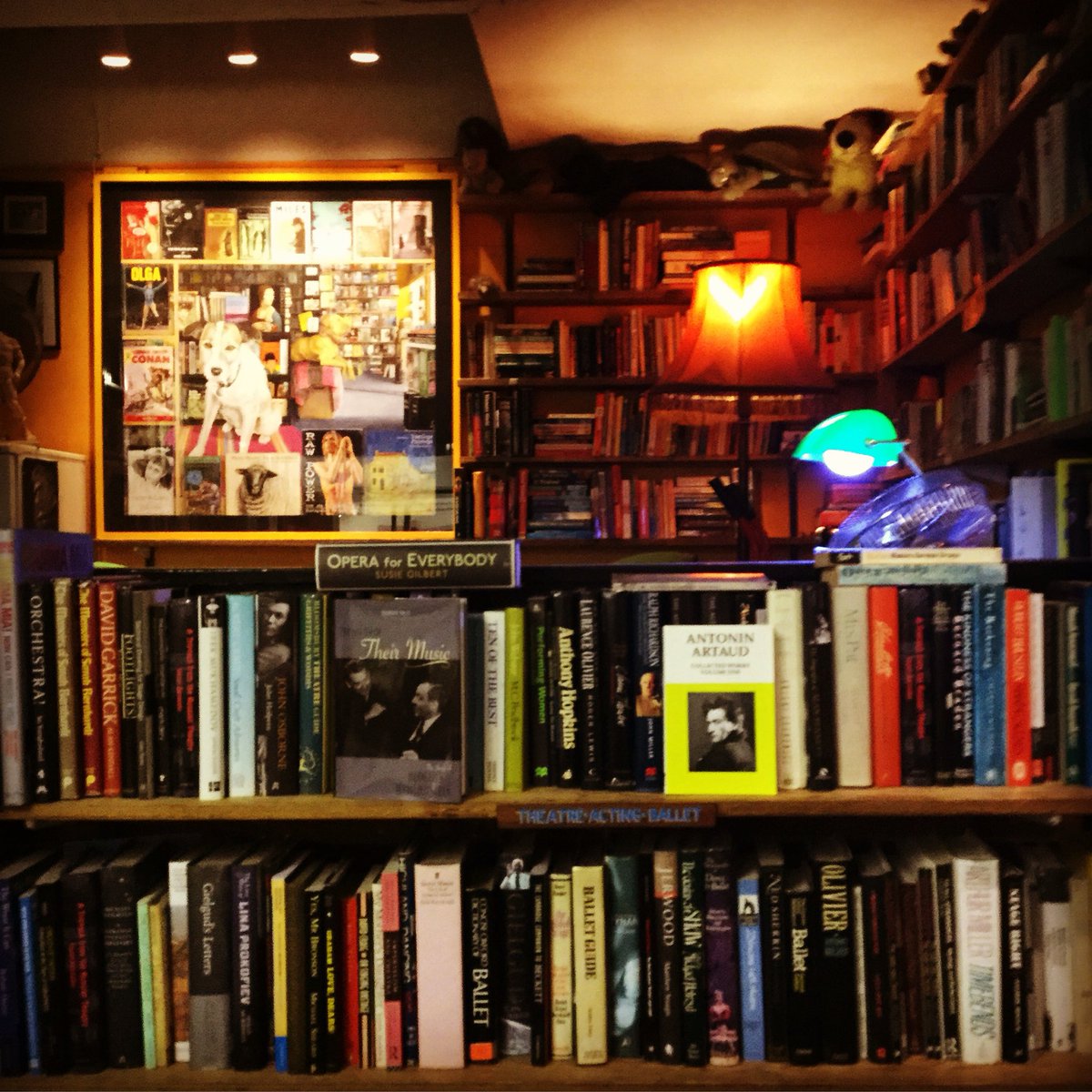 LaurenNoding's tweet photo. Eeeek I found another amazing #secondhand #bookstore today! #bookmonger in Brixton! https://t.co/rm97q0LqGd