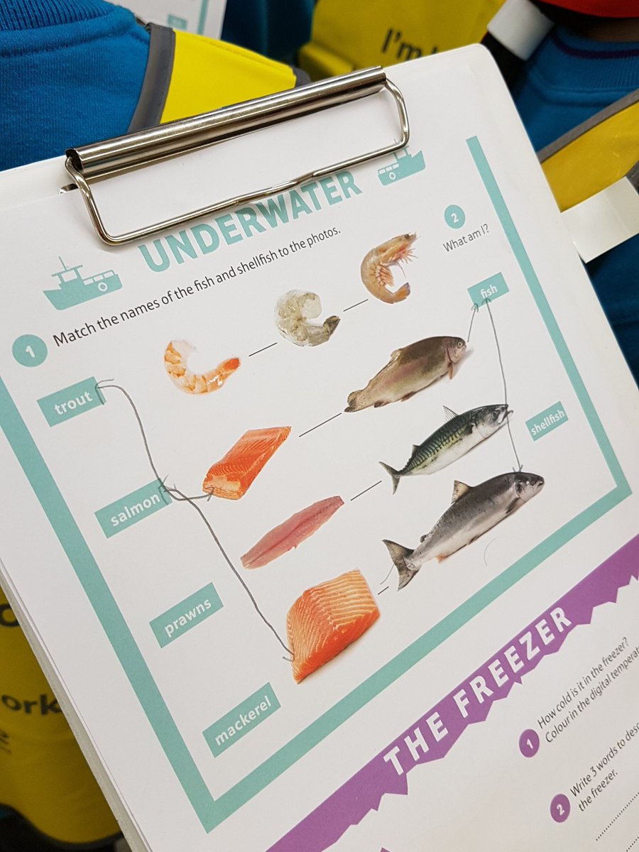 HilbreScouts's tweet photo. Swim little fishy swim...beavers are coming to find out all about the fish....#FTF @TescoHeswall https://t.co/ogZ1Eoevof
