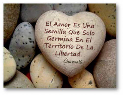 Afbeeldingsresultaat voor me encanta encontrarte de nuevo