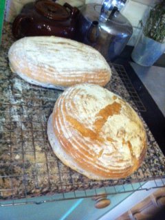 Antonia's Kitchen tweet media