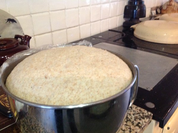 Antonia's Kitchen tweet media