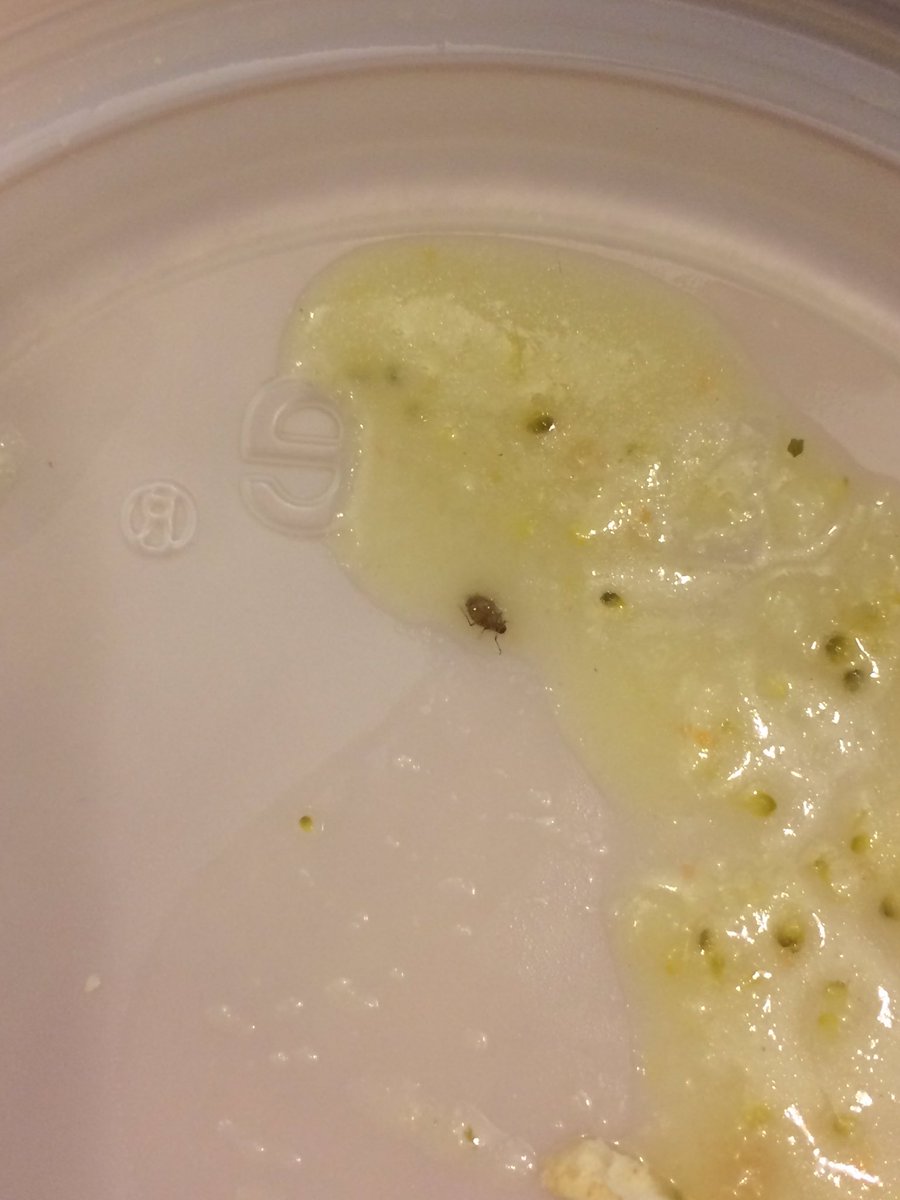 brookecbell's tweet photo. Found a bug in my soup as well during exam week #StopWKCafe https://t.co/jKHGQflLM3