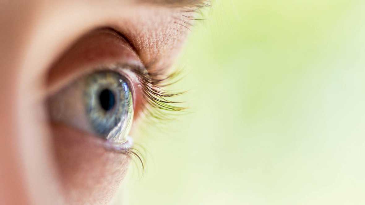rtve's tweet photo. Las terapias basadas en células madre son efectivas para regenerar ojos con cataratas https://t.co/VocbJCr5Cx https://t.co/CX6lLEeBhl