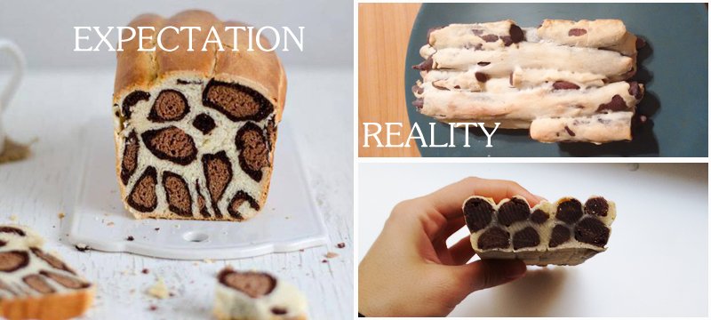 Dominé la masa madre y te dominaré a ti #leopardcake 💪🍞
#cookingfails #ExpectationVsReality #cakechallenge