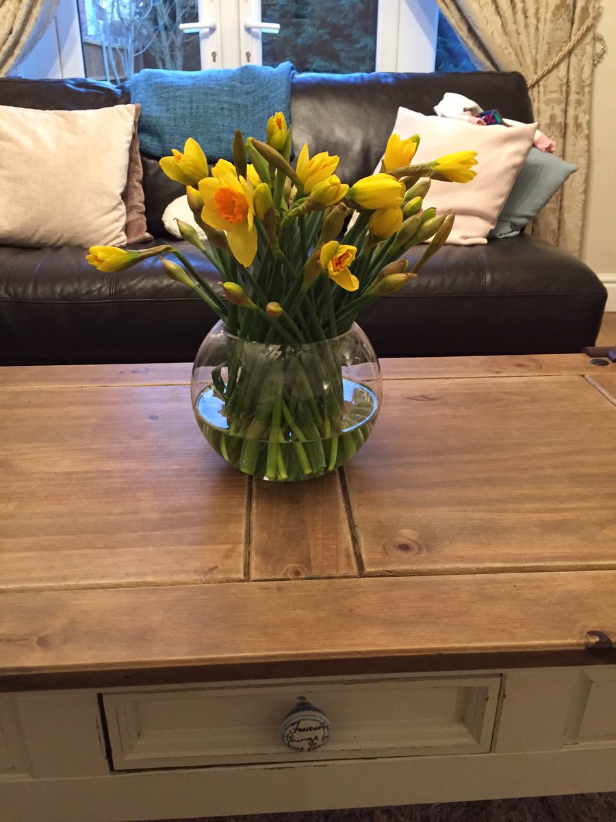WaterlooEyeCent's tweet photo. Thank you very much for my beautiful flowers! #proud #welldoneSeb. https://t.co/iaSoUewC5A