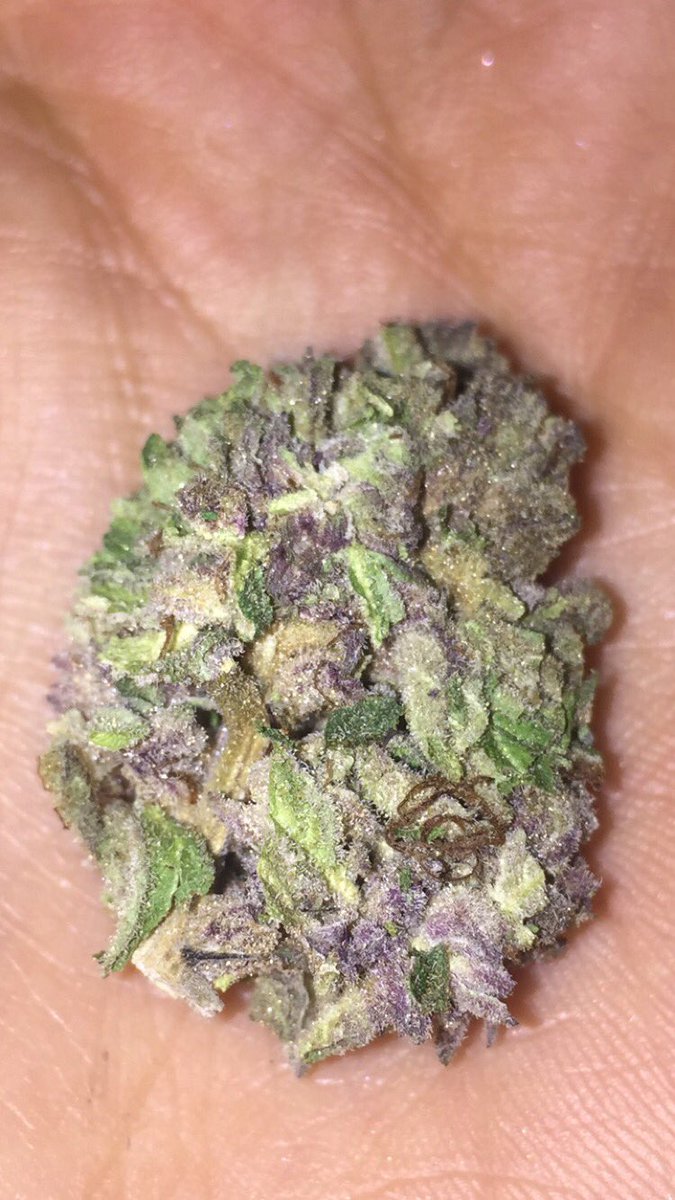 Beteezie's tweet photo. When you have your Med card.....💜💚😍😍😍 #sourbubble https://t.co/mEuAQSR7sg