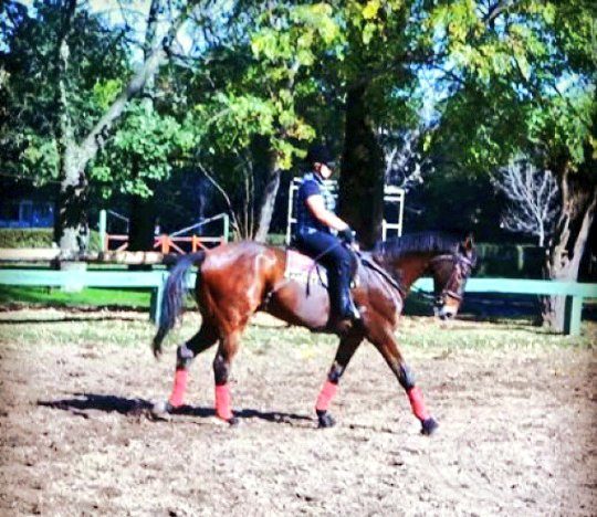 camillasnell's tweet photo. #rideforolivia https://t.co/rTQIH6YjN6