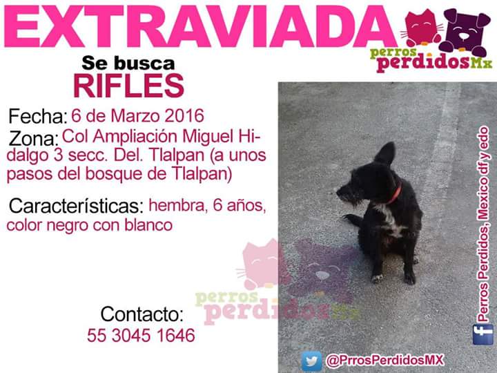 sebuscaCdMx tweet picture