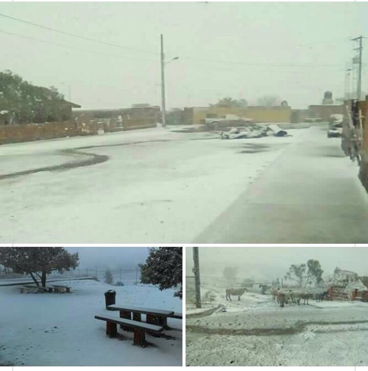 heraldoags's tweet image. Se registra nieve en algunos municipios de #Aguascalientes y aguanieve en la capital (Foto: PC SFR)