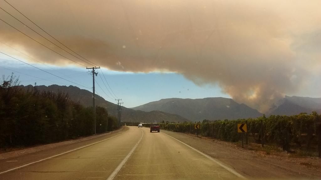 canalvtvcl's tweet photo. Incendio en bosque nativo de árboles cordilleranos en sector el Asiento camino Putaendo. #sanfelipe #Incendio2016 https://t.co/ImHm0y6fcl
