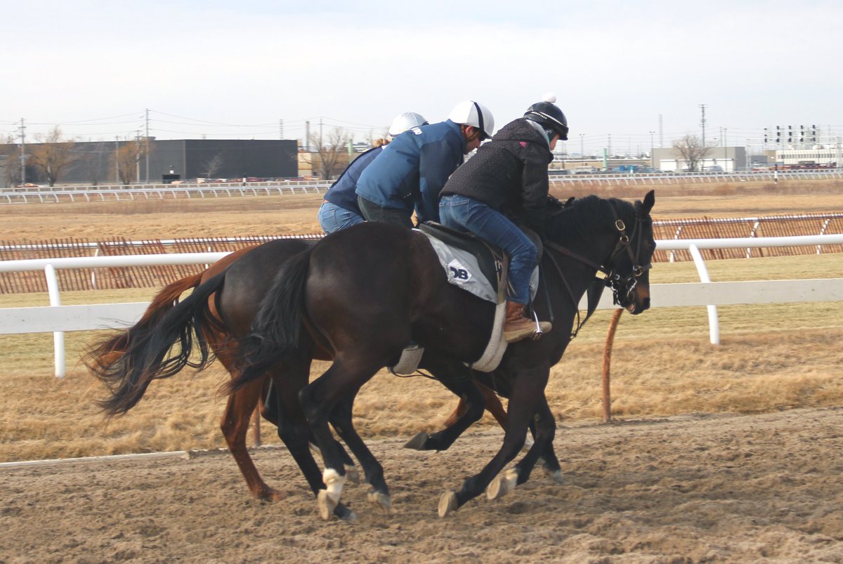 Keith-TripleDeadHeat tweet media