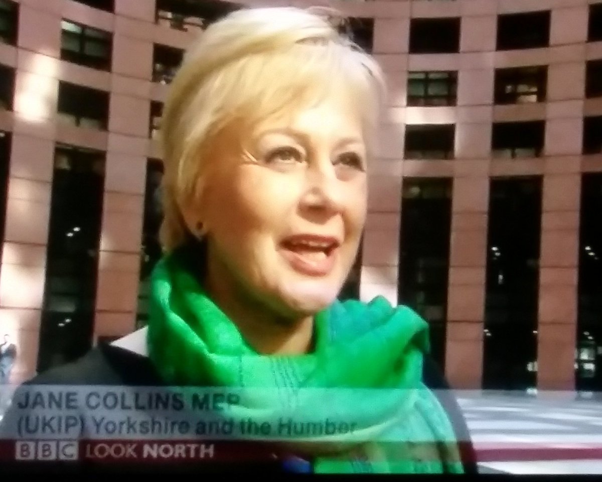 sunkfarmer's tweet photo. This lady is right and in a sensible interview she spoke eloquently about a #Brexit vote #JaneCollinsMEP https://t.co/nal7j4n4vY