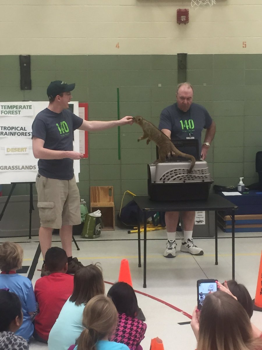 MsSorgBCPS's tweet photo. We had a wild time with the zoo mobile! 🐨🐯🐸 Thank you!  @marylandzoo https://t.co/P10HHJ2cbq
