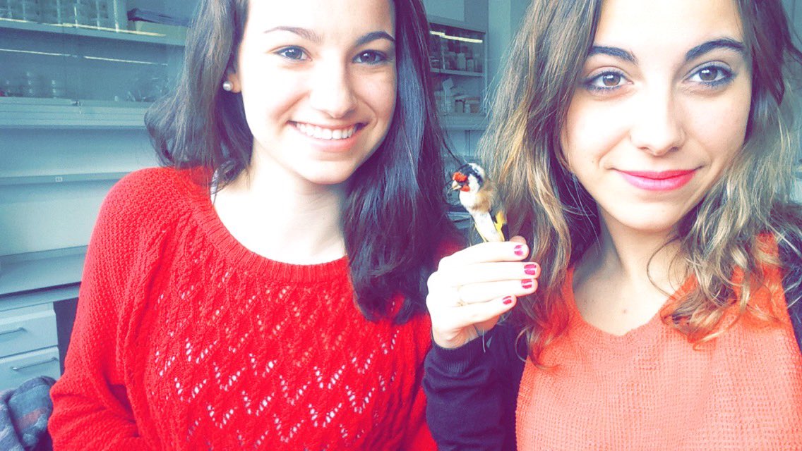inocyybe's tweet photo. Compi 💘 @patriciadlf97 🐓🕊🦃 https://t.co/59m4uSUAYx