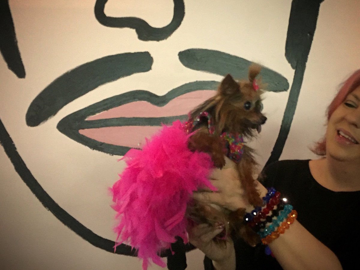 FigoPet's tweet photo. Donning her best pink skirt, Penelope & her pet parent Amy, draw smiles at the #WVC2016 #dogsinskirts #prettyinpink https://t.co/t76OKZJ4ja