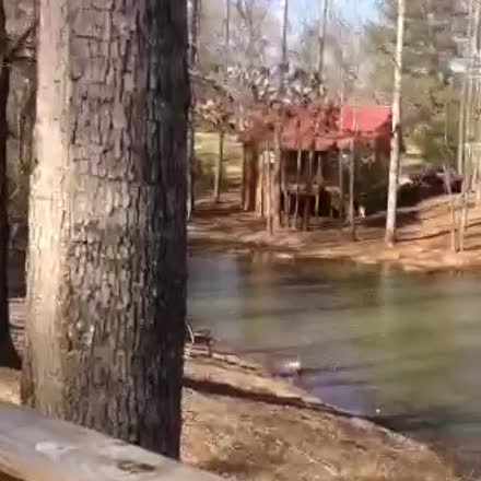 ciararubin's tweet image. |REPLAY| Releasing fears + blocks to access your Intuition 🙏🏽🔮#intui... #katch #Periscope ktch.tv/8bh8