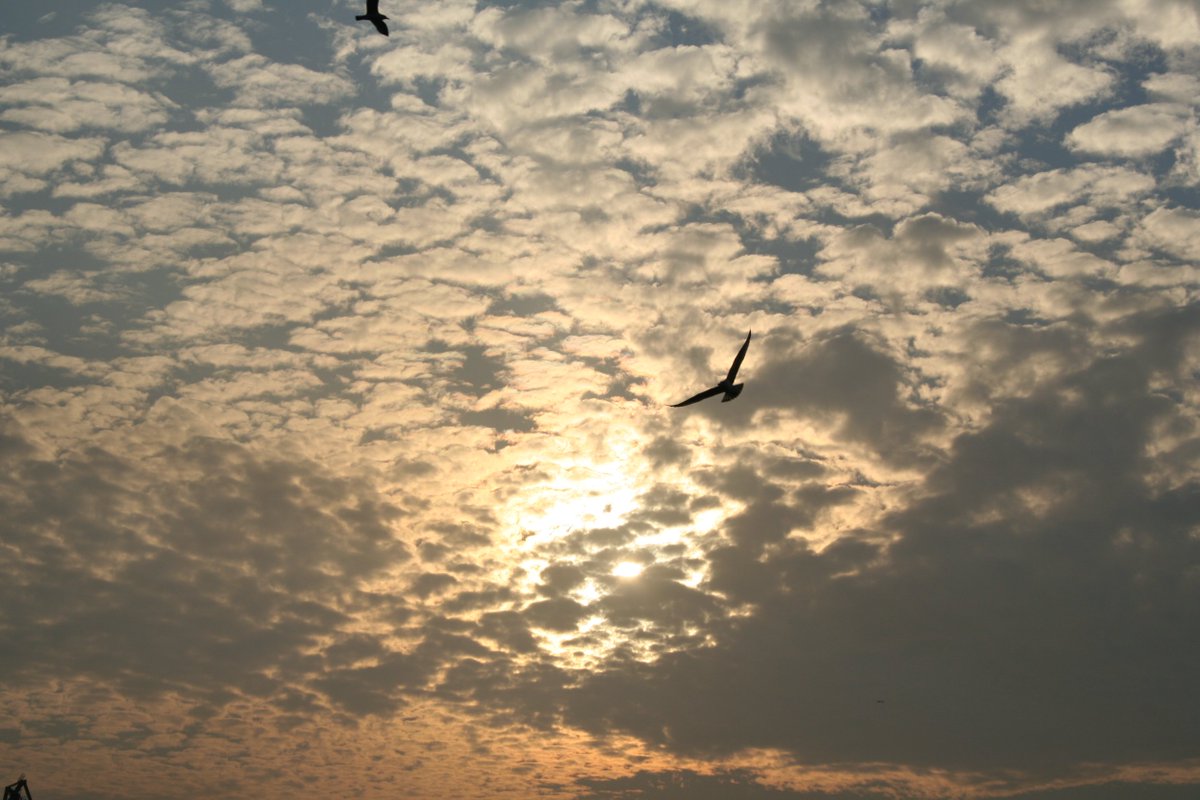 StevenHoskinson's tweet image. Feeling better IS better. #organicintelligence #resilliency #beyondtrauma