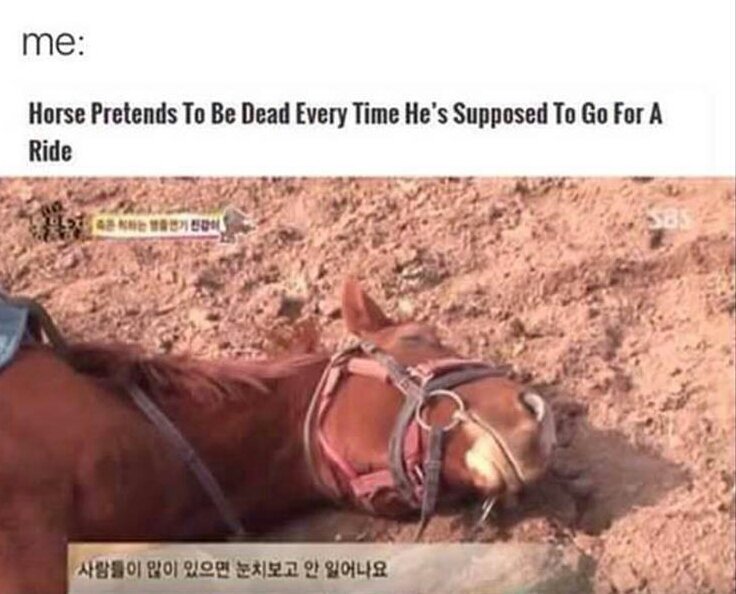 commonarabbguy's tweet photo. When my parents ask me to do a chore https://t.co/usY5DCGbtU