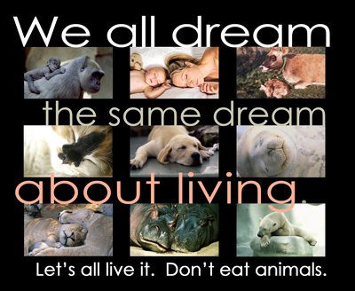ladylissie12's tweet photo. #vegan #vegetarian #meat #meatfree #AnimalRights https://t.co/u1BbwyYAQZ