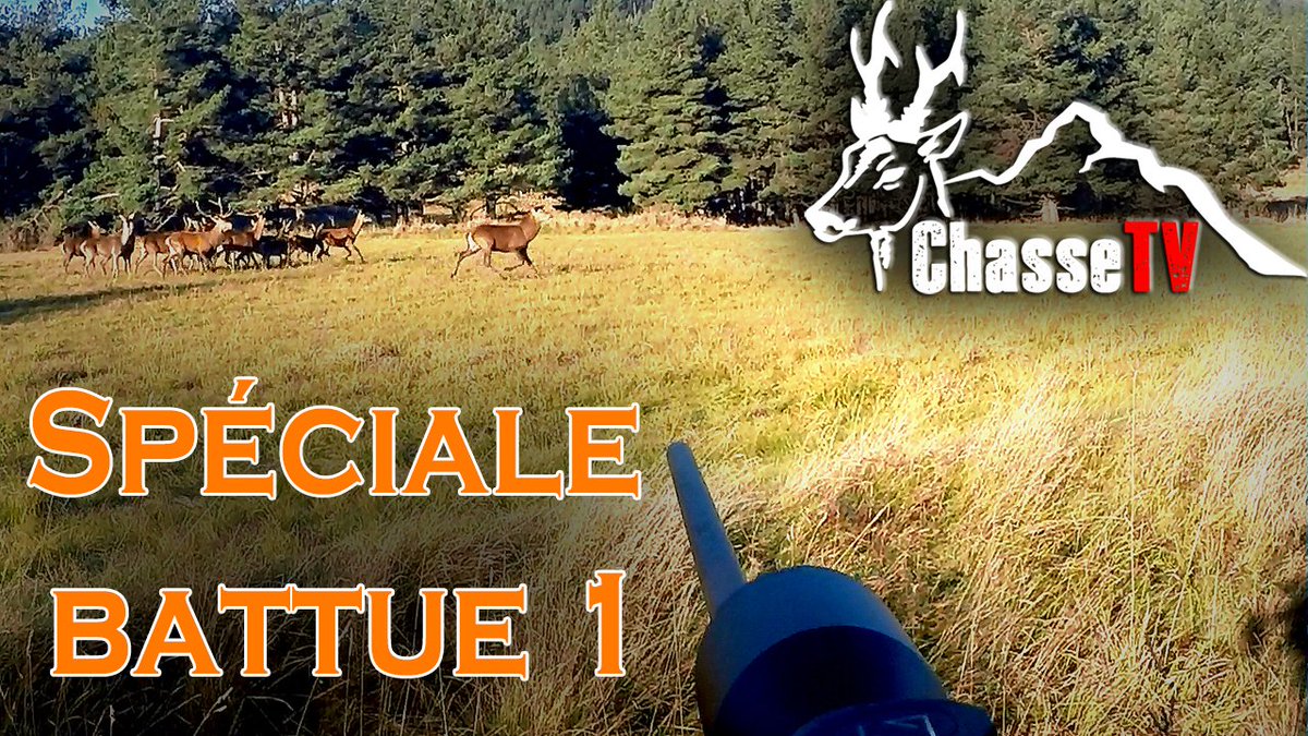 Chasse en battue dans le sud de la france! 
Drivens Hunt in South of France

youtube.com/watch?v=2FTWs5…
#hunting #hunt