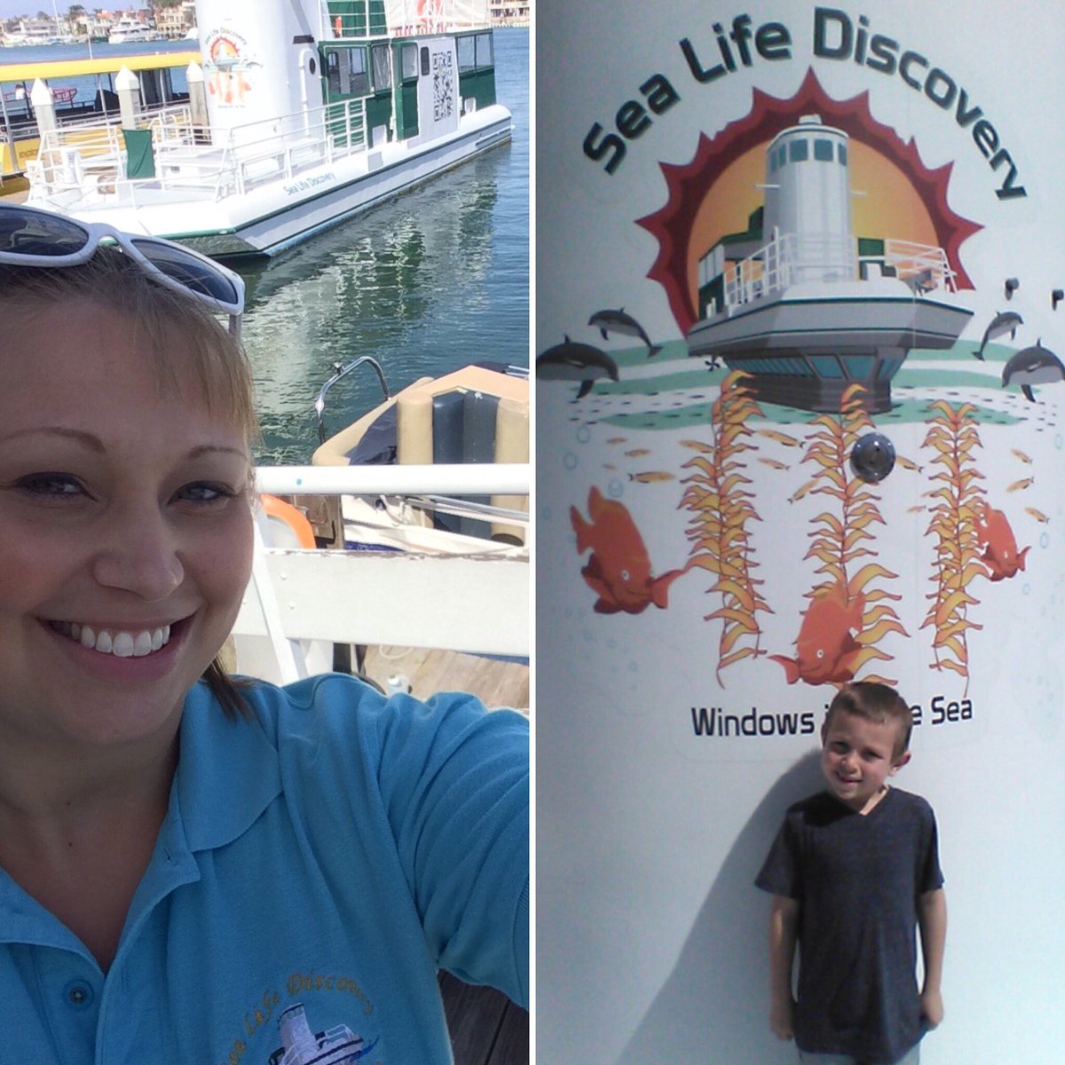 SeaLife_Cali's tweet photo. Join us on the next trip in this gorgeous weather leaving at 10am tomorrow! Book online at https://t.co/7gcIjN0iEC https://t.co/dUNupUgvrH