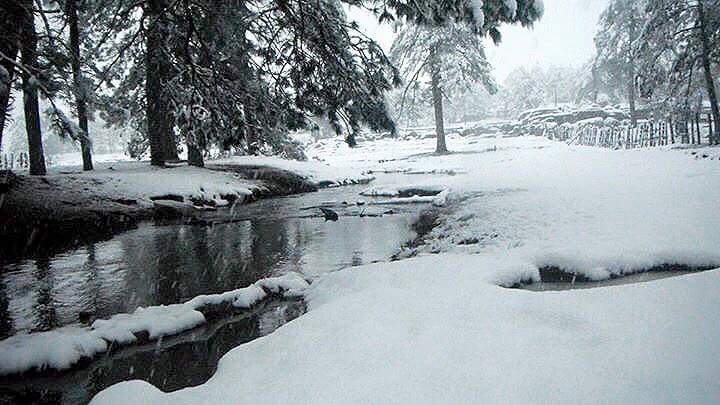 otnielgarcia's tweet photo. Gracias a mi amigo @joseramonhdez por compartir fotos de los paisajes nevados en el municipio de Tepehuanes. https://t.co/Jdln4dLzzO