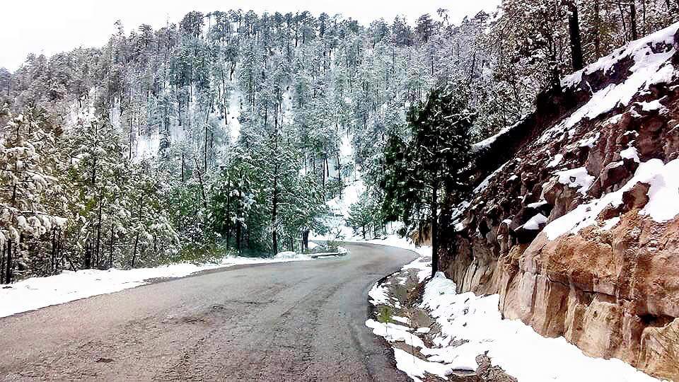 otnielgarcia's tweet photo. Gracias a mi amigo @joseramonhdez por compartir fotos de los paisajes nevados en el municipio de Tepehuanes. https://t.co/Jdln4dLzzO