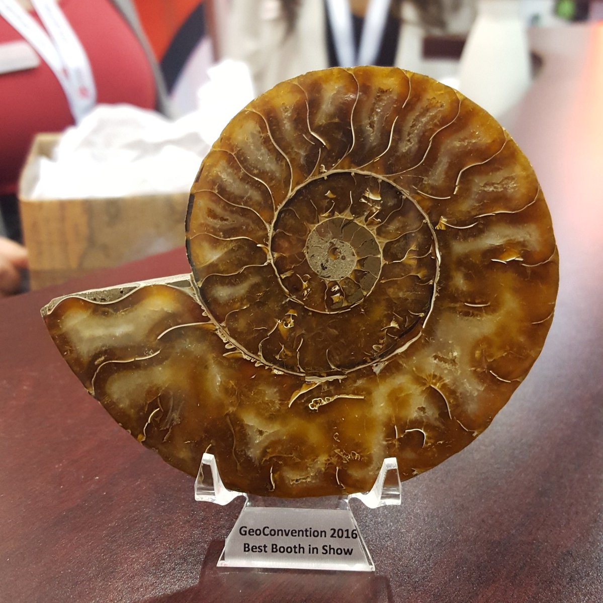 geoconvention's tweet photo. Congrats @geoLOGICsystems and ProGeo Consultants for winning @geoconvention best exhibit booths! #GeoCon16 https://t.co/ZvOXfpncII