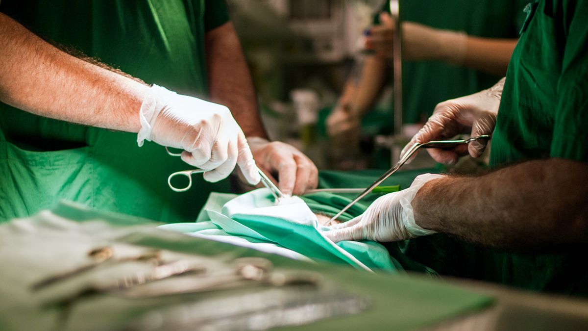VergeVideo's tweet photo. First uterus transplant in US fails two weeks after procedure https://t.co/6fePiwUGmm https://t.co/l5PVuSapY9