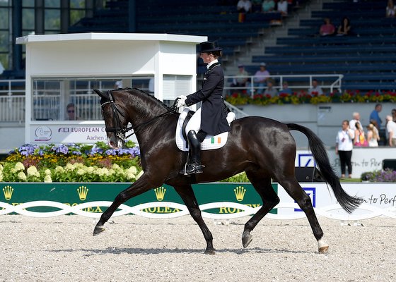 paraequestworld's tweet photo. Dressage rider Judy Reynolds smashes record score for Ireland @AlShaqab https://t.co/hrrw5Saxtc https://t.co/xXibypgOxw