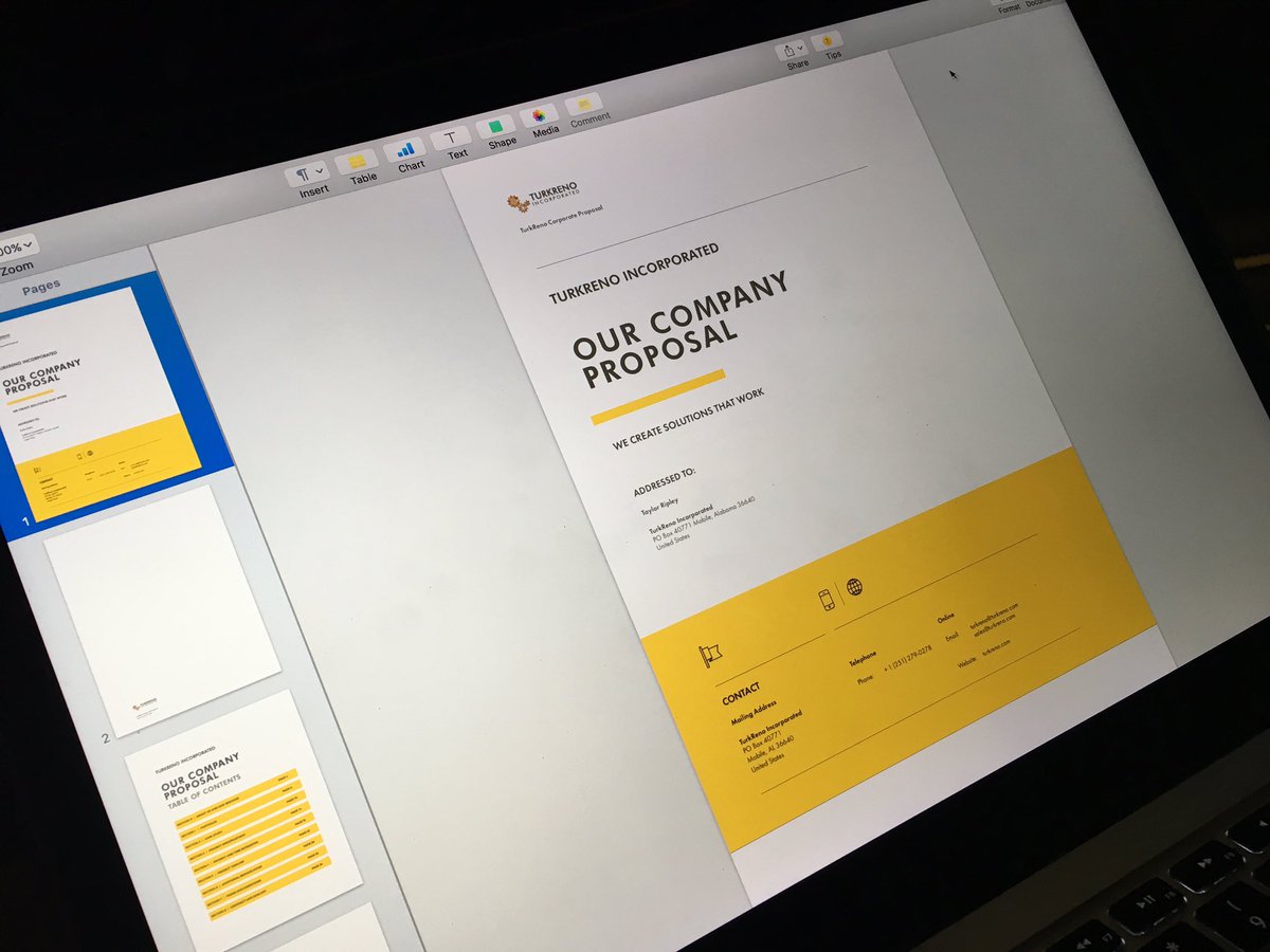 TurkReno's tweet image. New proposals coming soon because some people don&apos;t respect corporate identity. #webdesign #MobileAL #ApplePages