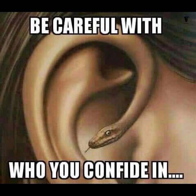 🐍🚫 https://t.co/s1yOM7NSgB