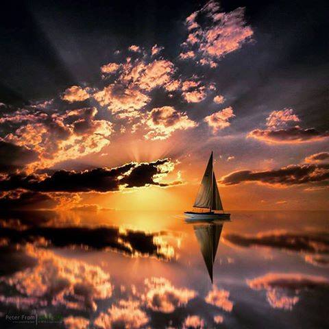 SuzanneLepage1's tweet photo. For you..! Stunning Photo by @pixativity https://t.co/YNhUgNOaQv