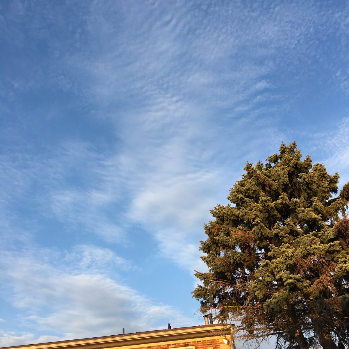 ductrongtran's tweet image. Going in live talking iOS Dev in a few min but just love this view so much.... Time to code! #developersacademy