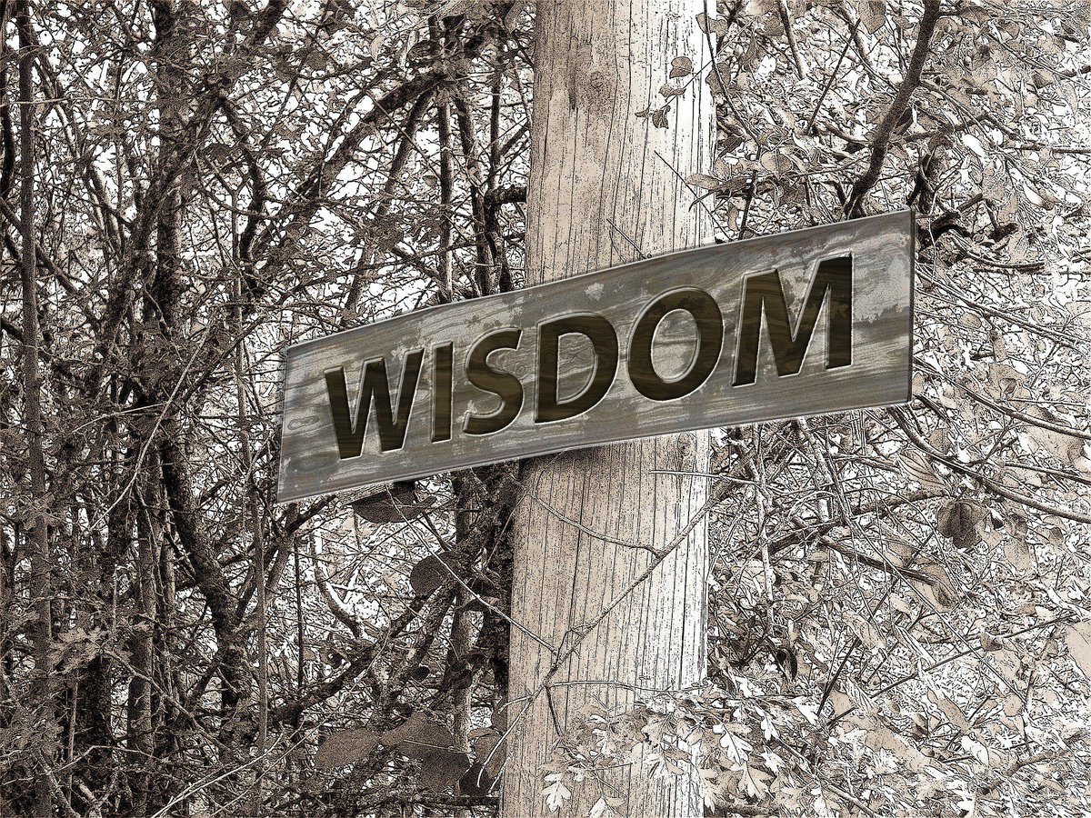 prplmoxie's tweet photo. Look Up.
#WednesdayWisdom https://t.co/hz40cT4MLw