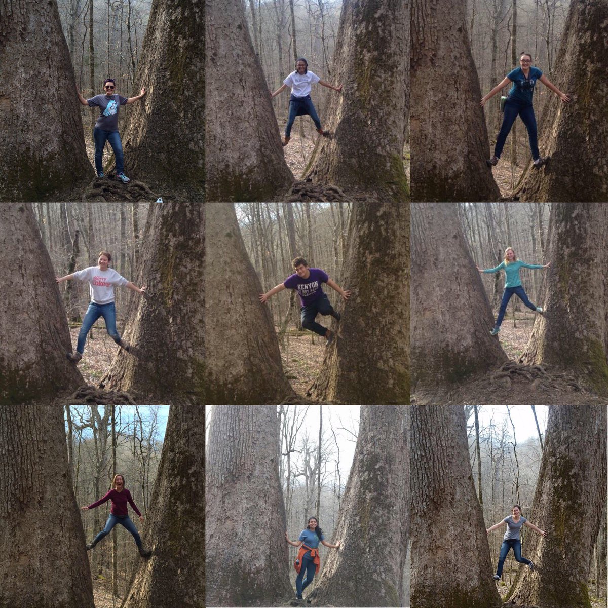 KenyonServes's tweet photo. Yesterday #KenyonASB16 visited Joyce Kilmer memorial forest and saw big trees! #KenyonServes https://t.co/Jl3kGwKjZ3