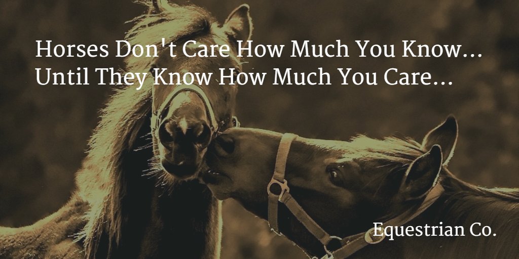 Equestrian Co. on Twitter "Horses Don't Care How Much You Know