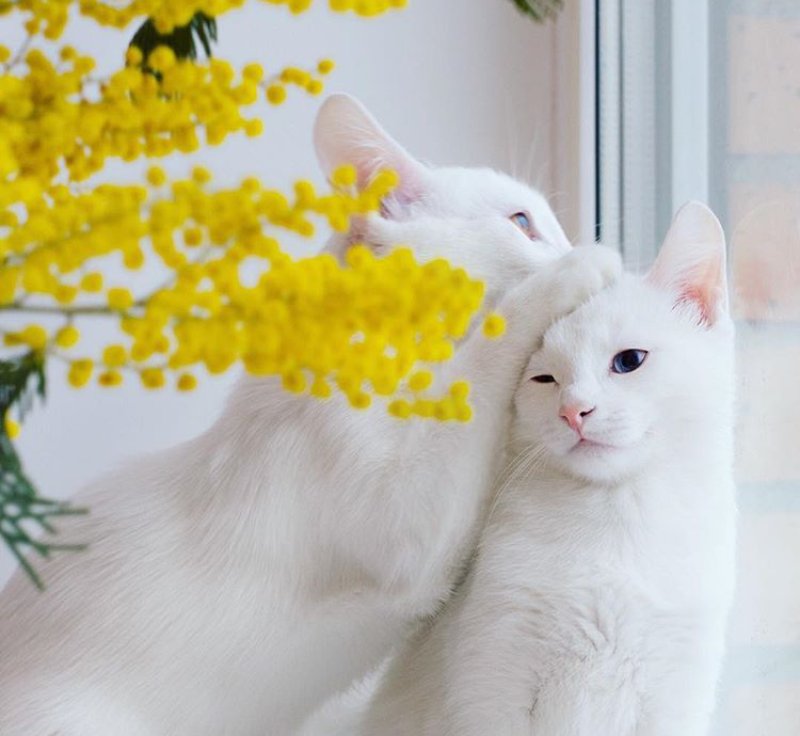 <a href="/rajesh6363/">RAJESH.YADAV</a>