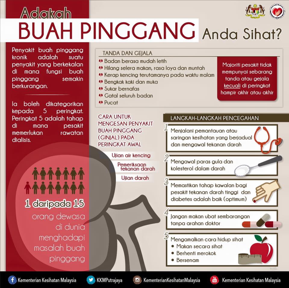 10 JENIS MAKANAN UNTUK PESAKIT BUAH PINGGANG - BLOG MUMMY IDA