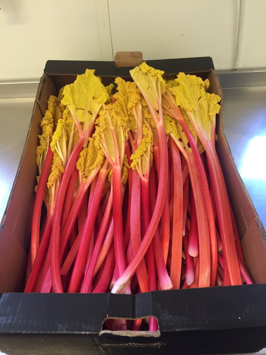 Beauties!!  😍😍😍