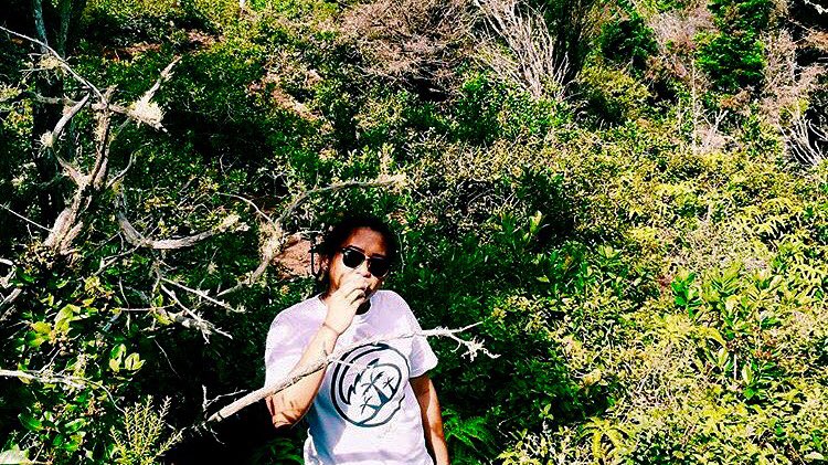 NaturalVibeCo's tweet photo. Natures Vibe #NaturalVibeCo #NVC #KnowTheVibes https://t.co/9O31vhQBpb