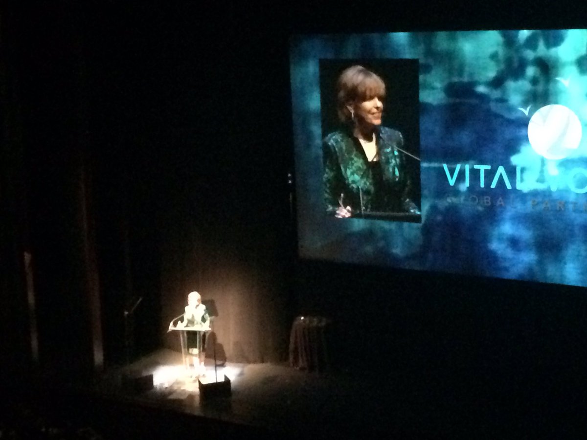 SusanDavisIntl's tweet photo. @VitalVoices Chair of the Board @SusanAnnDavis speaking at tonight's #GLA15 #poweredbywomen https://t.co/qaelKssziD