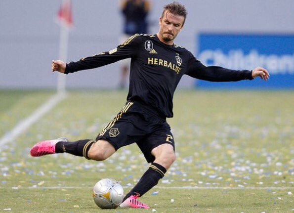 Danielle Major tweet media