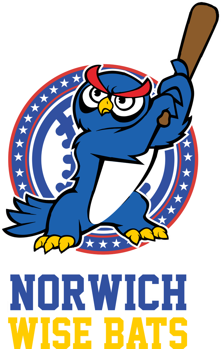 thefishpickle's tweet photo. Cheer on the Norwich Wise Bats!  #baseball #umpire #mascot #FantasyBaseball  https://t.co/ot42w6a0LC https://t.co/wvOWzXJ2W4