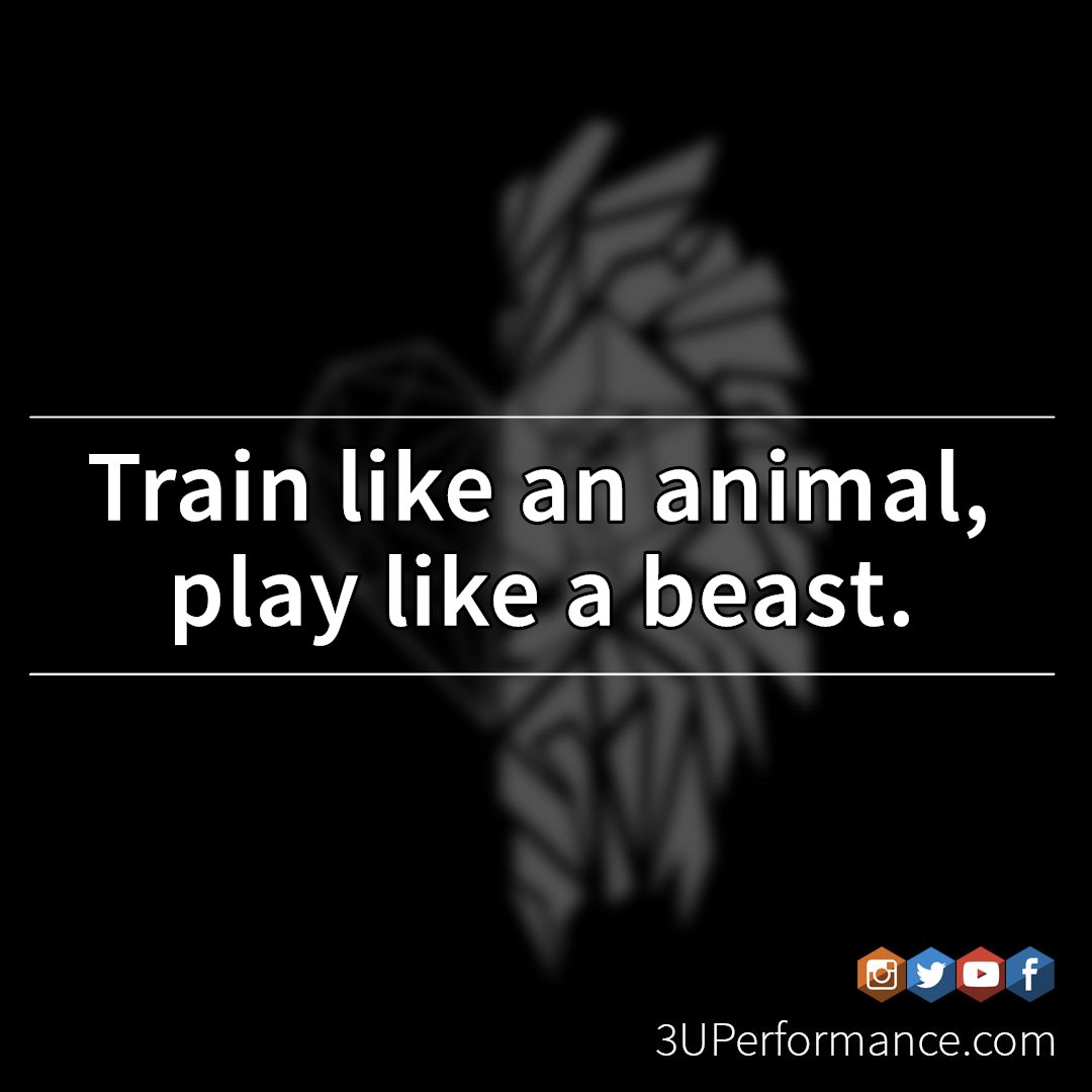3UPerformance's tweet photo. #3UPerformance https://t.co/vNFZJ3P5Ml