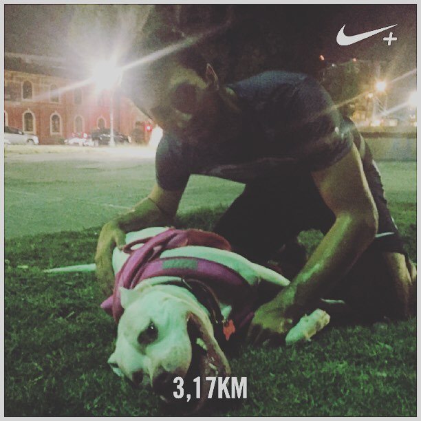 CladiaCardena's tweet photo. Preparándonos para la corrida perroton @dogchowchile...💪🏻 Quien más se suma?? 😄😄 #perroton #dogchow #pitbullsofinst… https://t.co/7E4swAG8ck