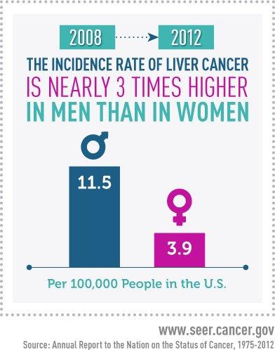 NCICancerStats's tweet photo. Liver Cancer nearly 3x more common in men than women, according to #ARN2016 https://t.co/lbzu21sfHl #StatusOfCancer https://t.co/mU81XOpJu2