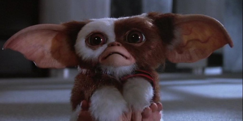 ArykenRyken's tweet photo. Trying not to eat after 6pm makes me feel like this. https://t.co/YivRNH1lgr