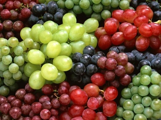 GemClm's tweet photo. #SON ripened #fruit is the #sweetest. #Pray that #Jesus the Son #ripens your #life to #produce sweet fruit for #God. https://t.co/M7YPnrhtqd