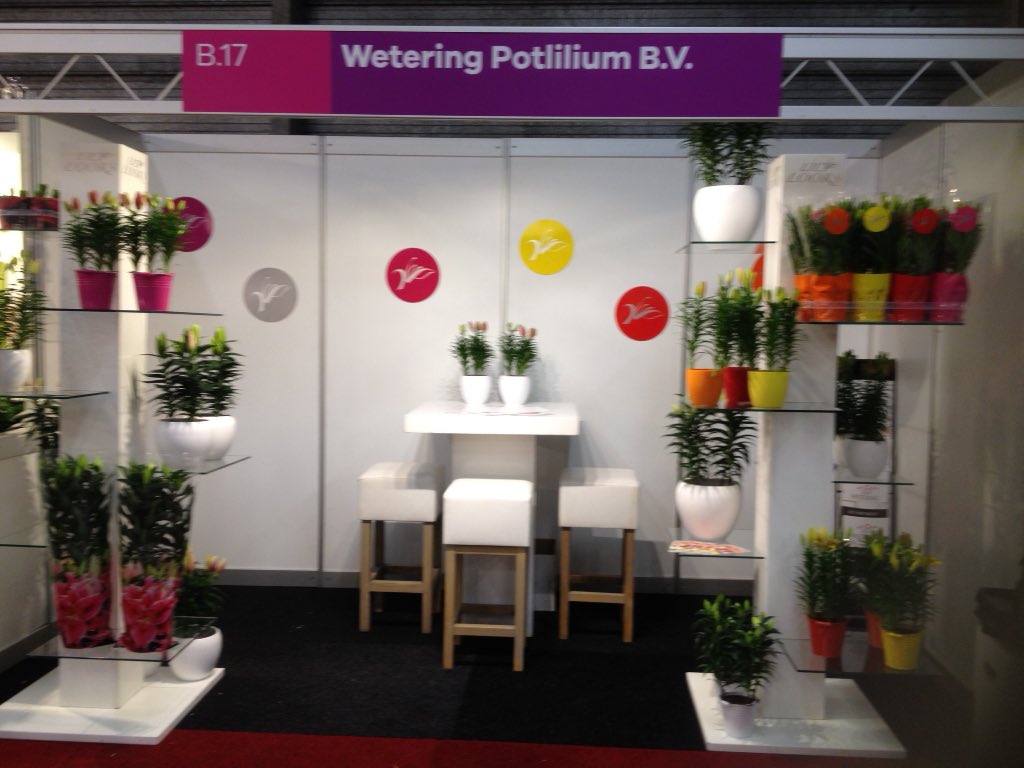 Wetering Potlilium tweet media